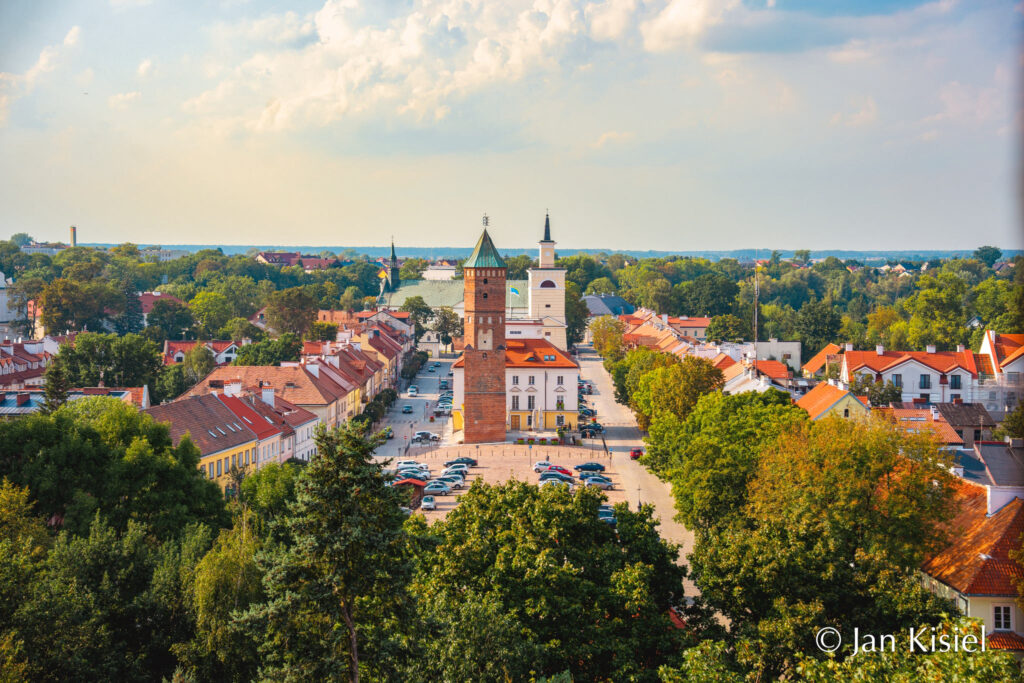 Zdjęcie przedstawia panoramę miasta, widok na wieżę ratuszową i rynek od strony zamku - Dom Polonii